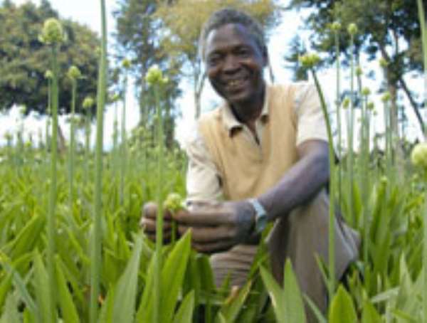 AIM-Africa To Train 10,000 Youth